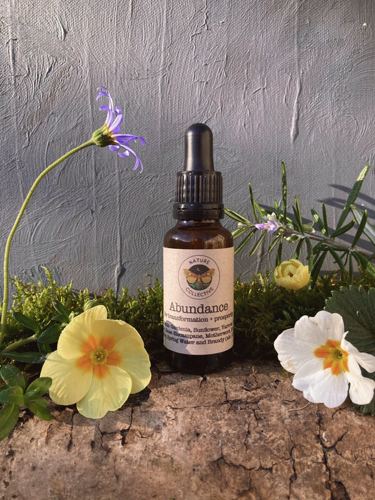 Abundance Flower Essence