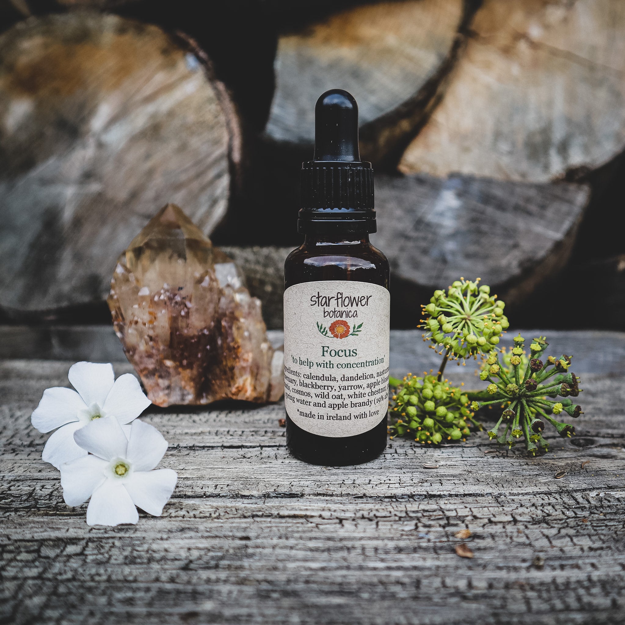 Focus Flower Essence naturecollective