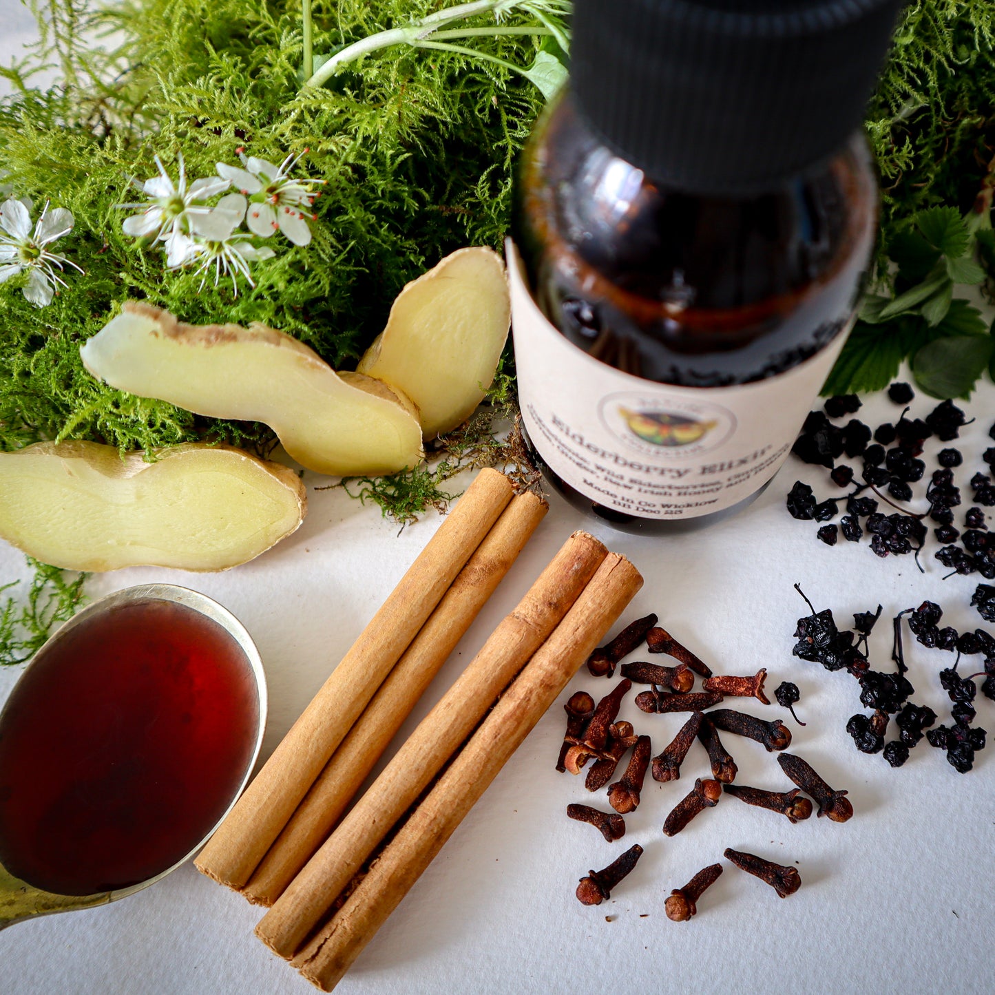 Elderberry Elixir