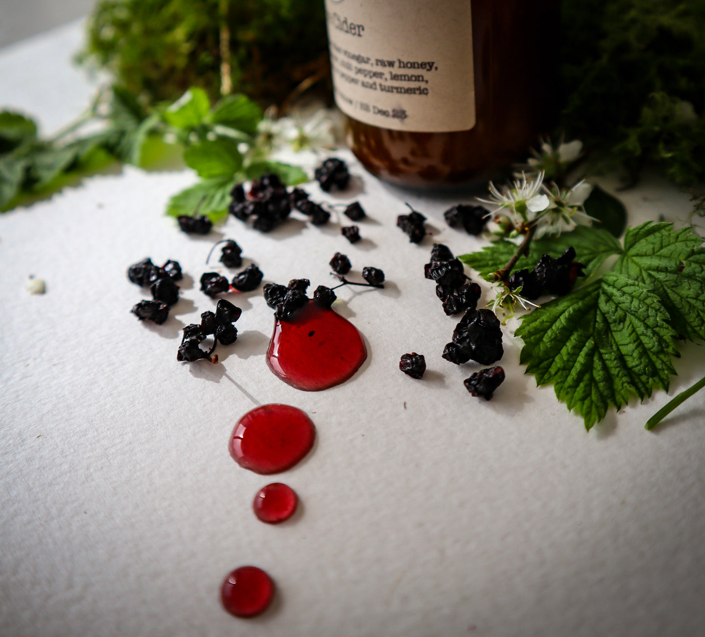 Elderberry Elixir