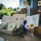 Herbal First Aid kit
