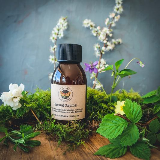 Spring Oxymel