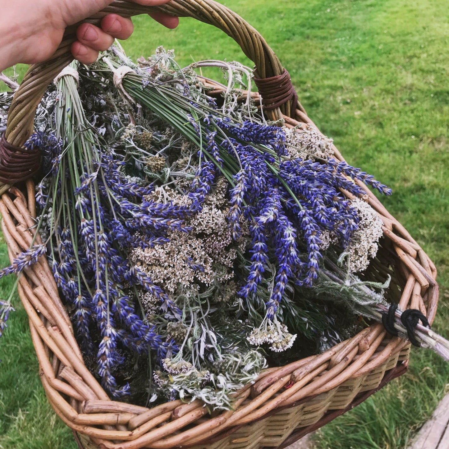 Herbal Subscription Boxes