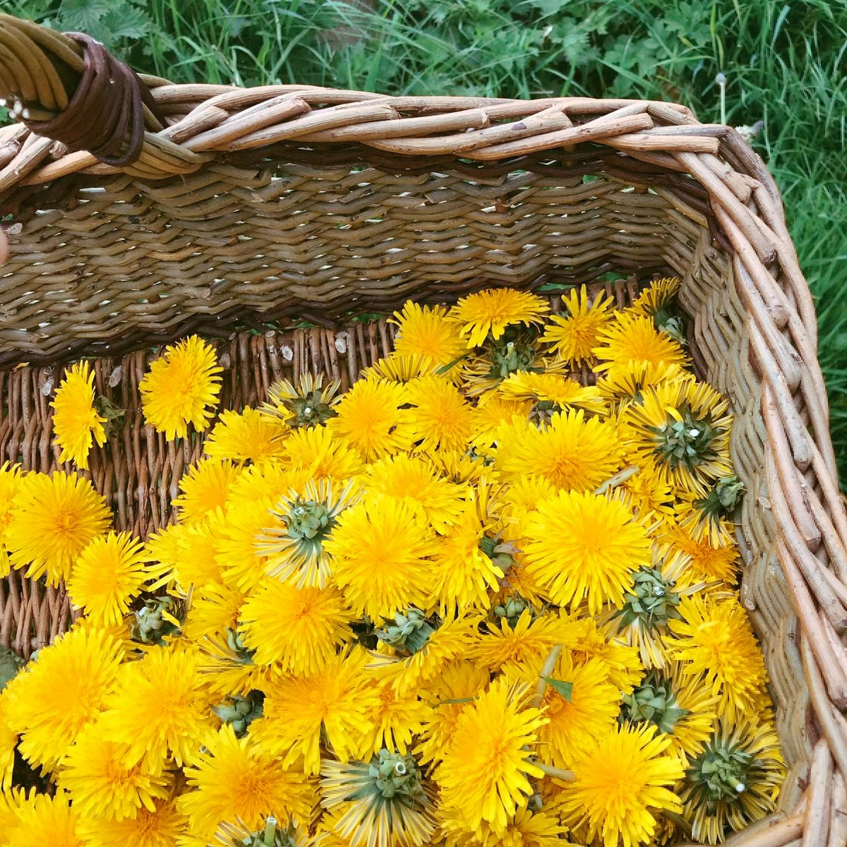 Herbal Subscription Boxes