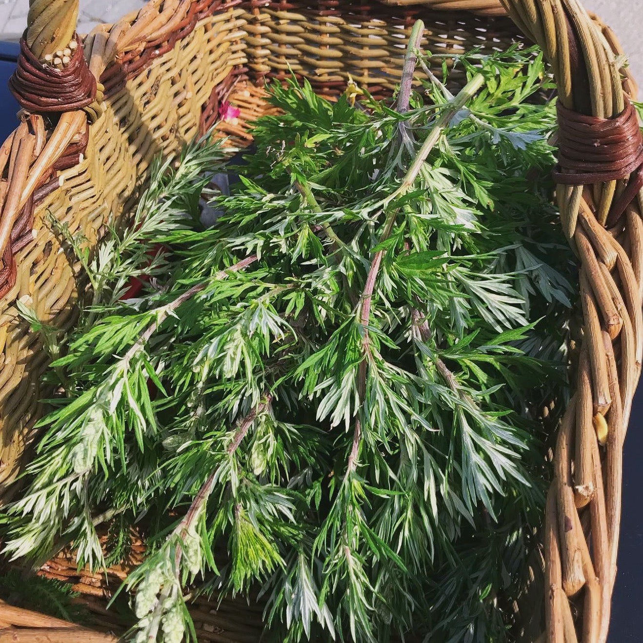 Herbal Subscription Boxes
