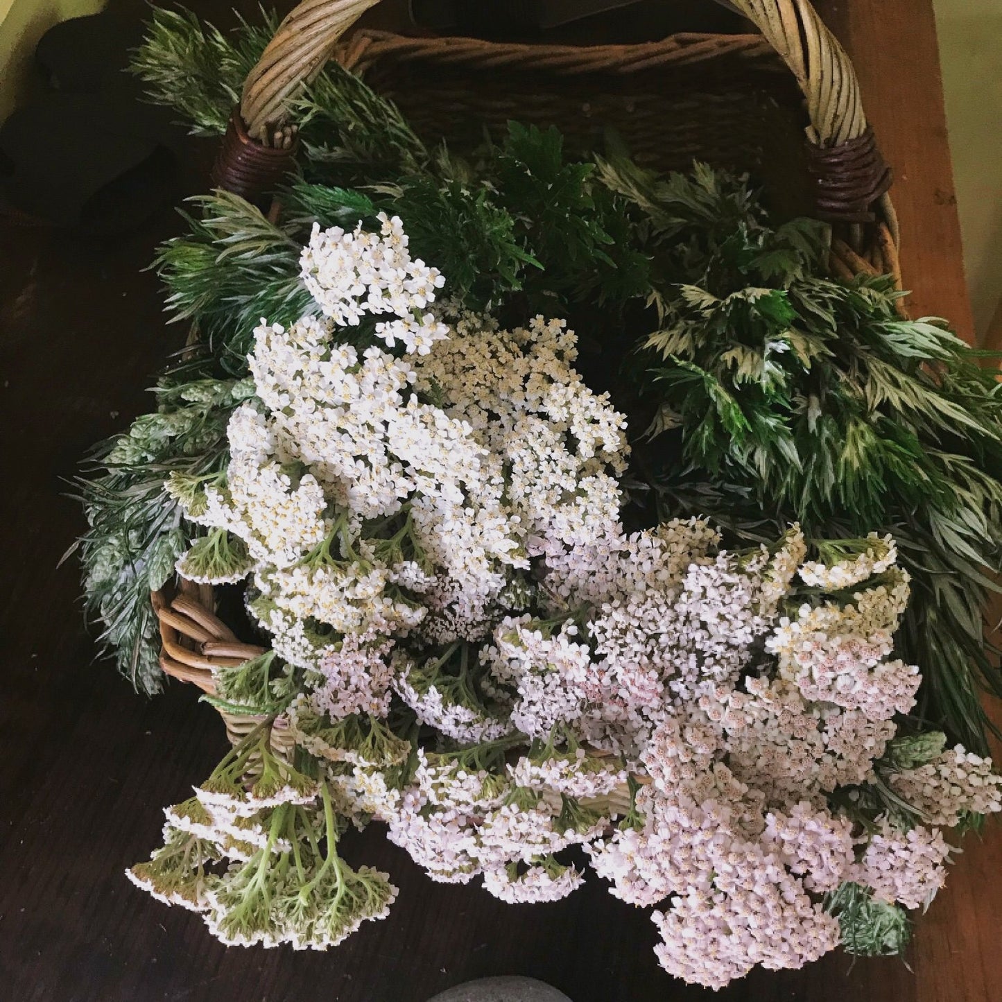 Herbal Subscription Boxes